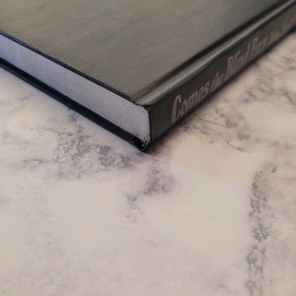 Comes the Blind Fury * John Saul - Picture 7 of 8